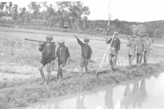 Cadres walking in ricefield(page58)